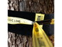 GIBBON Tree Wear