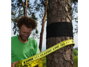GIBBON Tree Wear