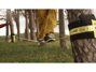 GIBBON Tree Wear