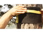 GIBBON Tree Wear